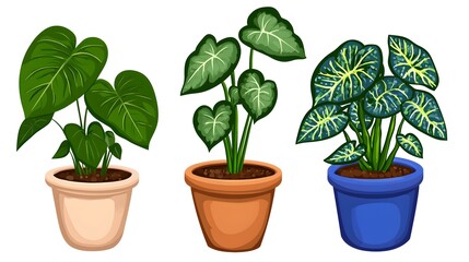 Fototapeta premium Variety of Indoor Plants in Colorful Pots for Home Decor Inspiration