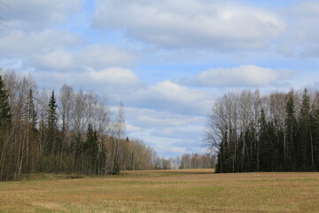 Obraz premium white clouds over field and forest in mid spring