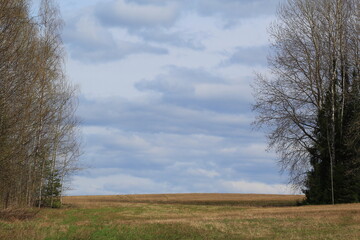 fields and forests of northeastern Europe in mid-spring on a sunny day