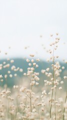 Delicate white wildflowers swaying in soft breeze with blurred hills aesthetic faceless content for instagram social media marketing branding pinterest