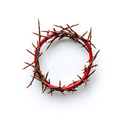 Fototapeta premium A crown of thorns top view isolated on a white background