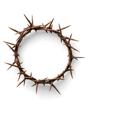 Fototapeta premium A crown of thorns top view isolated on a white background