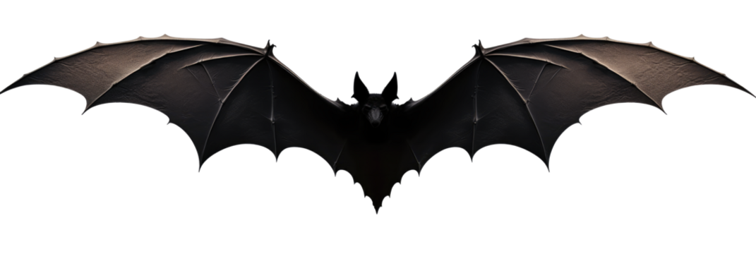 Stylized black bat silhouette with spread wings on transparent background