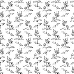Seamless Pattern With Line Drawn Flowering Branch