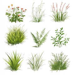 Obraz premium Nine assorted green plants and flowering plants