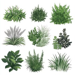Collection of Diverse Green Plants and Flowers