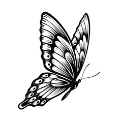 Create a high-resolution, editable stroke vector graphic of a butterfly in mid-flight, showcasing intricate wing details and vibrant colors.