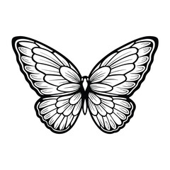 Create a highly detailed vector illustration of a butterfly with intricate wing patterns, featuring editable strokes for easy modification.