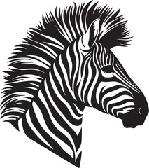 zebra vector illustration