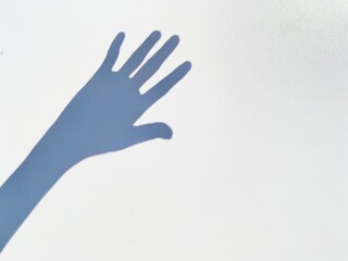 hand on a white background
