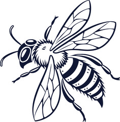 bee on white background