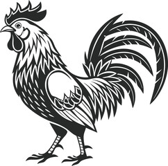 rooster isolated on white