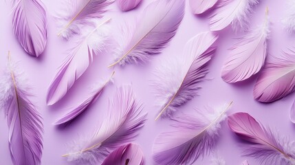 Obraz premium Pastel Feathers on Light Lilac Background