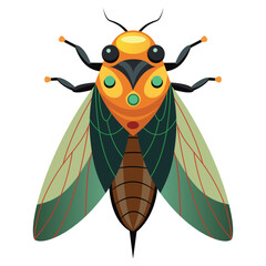 Detailed Cicada Bug on White Background