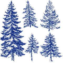 Blue Ink Drawings of Various Pine Trees