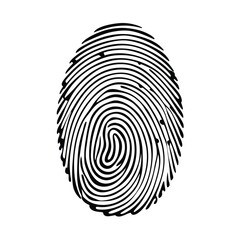 Create a high-resolution editable stroke vector graphic depicting a detailed fingerprint pattern, suitable for various design applications.