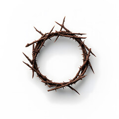 Fototapeta premium A crown of thorns top view isolated on a white background
