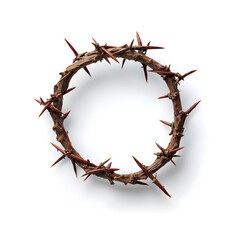 Obraz premium A crown of thorns top view isolated on a white background