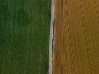 Aerial shoot with an wheat land in Romania, the country also known as the Granary of Europe. Golden...