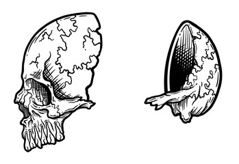 Empty scull 532412414