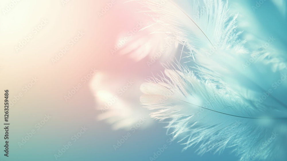 Poster lightness of feathers in a soft dreamy background