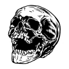 Skull 6435626352