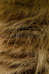 Close-up background, texture coconut palm tree trunk with hairs. Hairy tree structure. Vertical