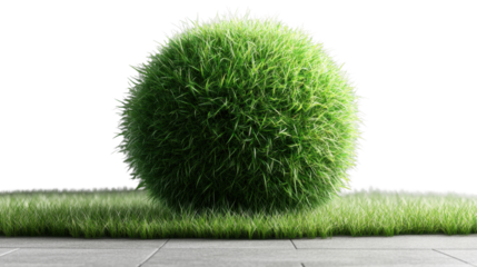 Green grass ball assolated on white background 