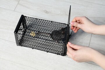 Woman holding metal mouse trap with rat on floor, above view