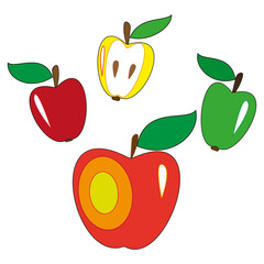 Vector apple set. Red, green, yellow fruits. Colorful sliced apple. Juicy fruit illustration. EPS 10.