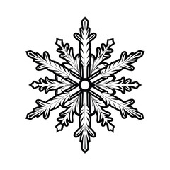 Create a highly detailed, editable stroke vector graphic of an intricate snowflake design, suitable for various winter-themed projects.