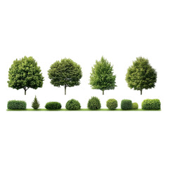 Green park landscapes with trees and bushes on a white background
