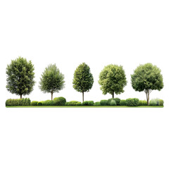 Realistic green park landscapes with bushes and trees on white