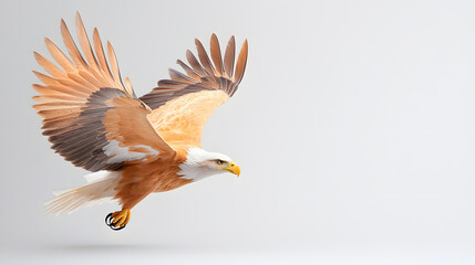 Obraz premium Majestic eagle soaring gracefully in flight, showcasing its powerful wings and striking plumage. symbol of freedom and strength in nature