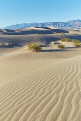 Death Valley National Park's stunning Mesquite Flat Sand Dunes near Stovepipe Wells