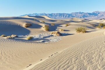 Death Valley National Park's stunning Mesquite Flat Sand Dunes near Stovepipe Wells