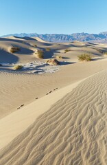 Death Valley National Park's stunning Mesquite Flat Sand Dunes near Stovepipe Wells