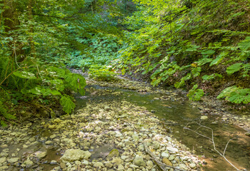 A shallow riverbed with an exposed rocky bottom, a small flow of water, in the summer