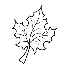 Maple Leaf Outline Vector Illustration. Black and white vector illustration of a single maple leaf with detailed veins and jagged edges. The leaf is drawn in a minimalist line art style.