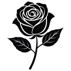 black rose vector illustration