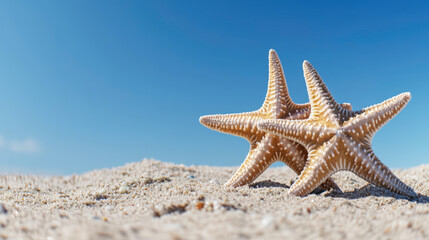 Two Beautiful Starfish Resting on a Soft Sandy Beach Under a Bright Blue Sky with Gentle Clouds and Sunlight Glimmering Across the Shoreline