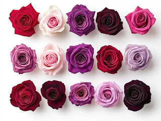 Obraz premium red roses background