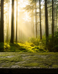 Obraz premium A dark volcanic stone table with a rough, porous texture, featuring green moss stains. Perfect for product display in natural, rustic settings, ideal for eco-friendly or outdoor product promotions.