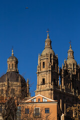 Salamanca Cathedral Details in Salamanca, Spain.