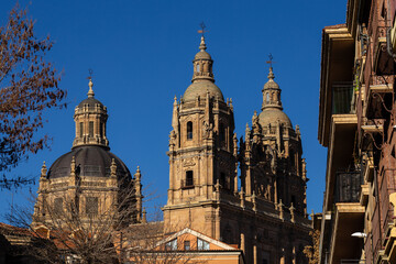 Salamanca Cathedral Details in Salamanca, Spain.
