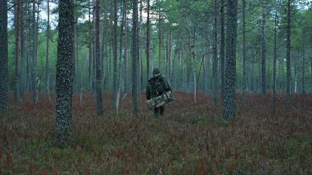 Bushcrafter with backpack and gear for survival in the forest. A hiker with a backpack walks through a pine forest. Wilderness survival concept. Rear view