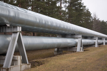 pipeline line against grey sky and forest
