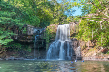 A waterfall is surrounded by trees and a group of people are swimming in the water. Scene is peaceful and relaxing
