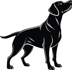 Standing Dog silhouette, Dog vector, Dog standing icon