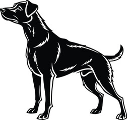 Standing Dog silhouette, Dog vector, Dog standing icon